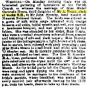 Business and Occupations  1896-01-03 CHWS